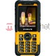 Telefon komórkowy Evolve Survivor