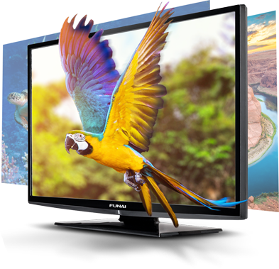 TV parrot