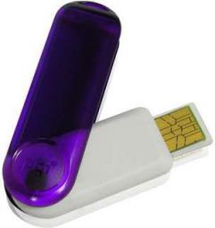 I261 1GB Fioletowy