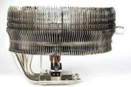 MAX ORB CL-P0369