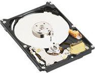 WD800BD