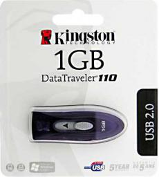 zdjecie DT110P/1GB