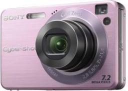 DSC-W120 ROSE