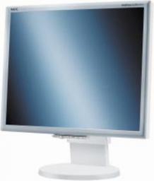 zdjecie 60001557