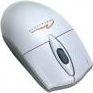 MT-1018g EASY WEB OPTICAL szara