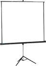 Proview na statywie 160 x 160 cm (10400076)