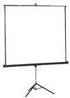 Ekran na statywie Projecta 180x180 cm Matte bia�y S 10400083
