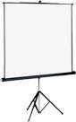 Na statywie Projecta 200x200cm Matte bia�y S 10400052