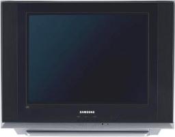 CW-21Z453NL 21"