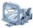 LMP35 - lampa do SU30/31/32/33/XU30/31/32/33/35/37/38
