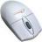 MT-1018g EASY WEB OPTICAL szara