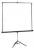 Ekran na statywie Projecta 180x180 cm Matte bia�y S 10400083
