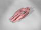 Molex PN  modu� roz��czny, 10 par, 0-9, bia�y (DCN-00001) 