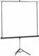 Projecta  Ekran przeno�ny Proview na statywie 125 X 125 cm (10400070) 