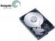 Seagate 3,5 " 250GB SATA II 7200rpm  ST3250410AS 
