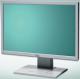 Fujitsu-Siemens ScenicView A22W-3  S26361-K1178-V150  Szary