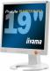iiyama ProLite  B1902S-W1  Bia�y (kremowy)