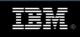 IBM 146,8 SAS 10000  42D0443 