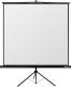 Reflecta  EKRAN R�CZNY CRYSTAL LINE TRIPOD 200x200 cm (87652) 