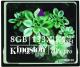 Kingston  COMPACT FLASH CF/8GB-S2 