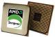 AMD Sempron 2300 AM2  SDO2300DOBOX 