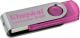 Kingston  DT101N/2GB 