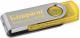 Kingston  DT101Y/4GB 