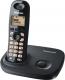 Panasonic  KX-TG7301PDB 