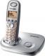 Panasonic  KX-TG7301PDS 