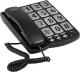 TopCom  Senior friendly TITAN 100 