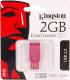 Kingston  DTMSN/2GB 