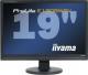 iiyama ProLite  E1908WSV-B1  Czarny