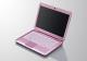 Sony  VAIO VGNCS11S/P.EE9 