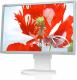 NEC MultiSync EA261WM  60002458  Bia�y/kremowy