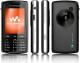 Sony Ericsson  W960i  (towar na zam�wienie - 10 dni) 