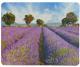 Podkładka pod mysz 4World LAVENDER FIELD (06021)