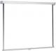 Projecta  Matt bia�y 160 x 160 cm (10200062) 