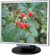 NEC AccuSync 195VXM  60001750  Czarno-srebrny