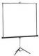NEC  Ekran na statywie Projecta 180x180 cm Matte bia�y S 10400083 
