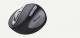 Microsoft  Natural Wireless Laser Mouse 6000 Metallic 