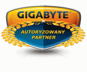 GIGABYTE Platinum Partner 2015