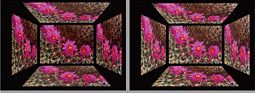 BL2420Z - Business - Monitors BL2420Z - Business - Monitors