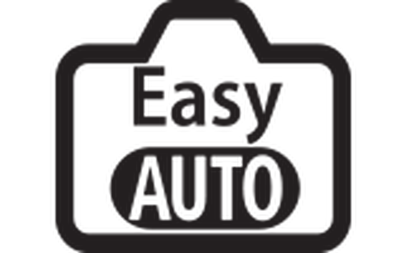 Easy Auto