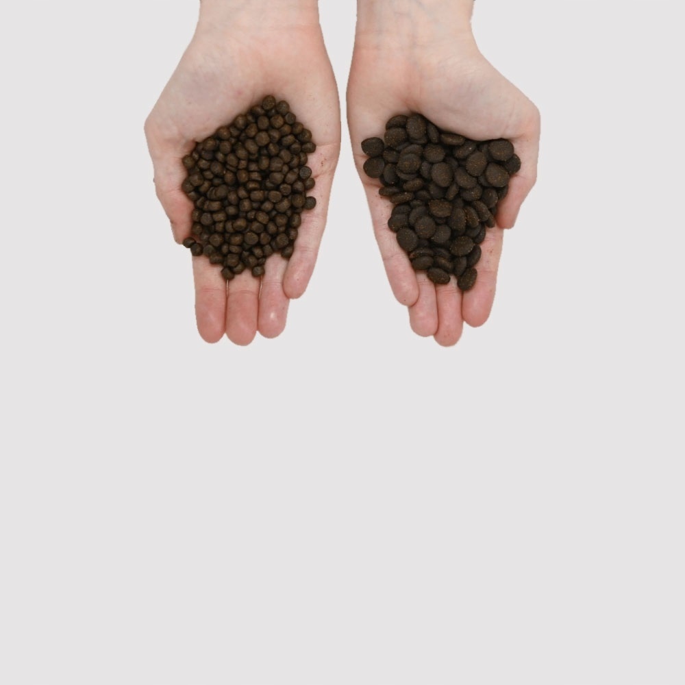 Wsparcie dla stawów i układu trawiennego