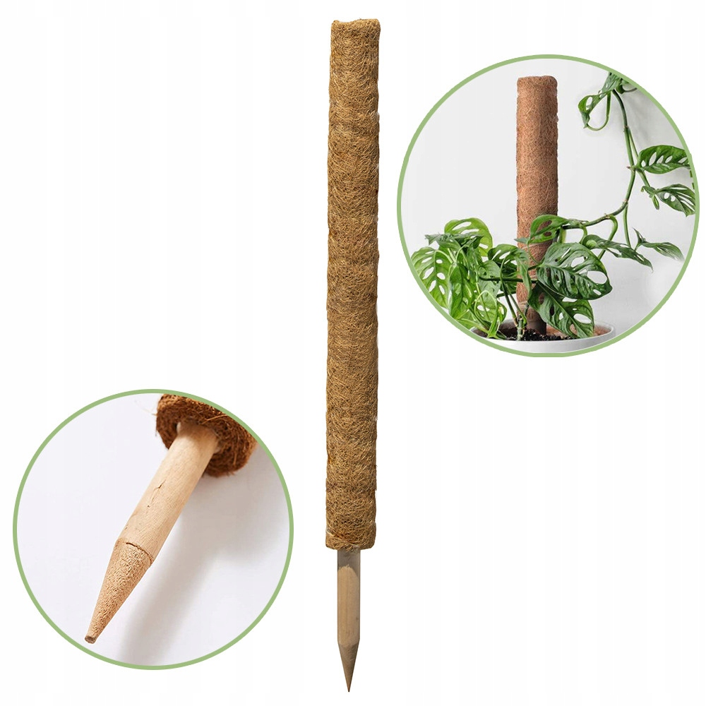 Palik kokosowy 60 cm – Idealna podpórka do roślin