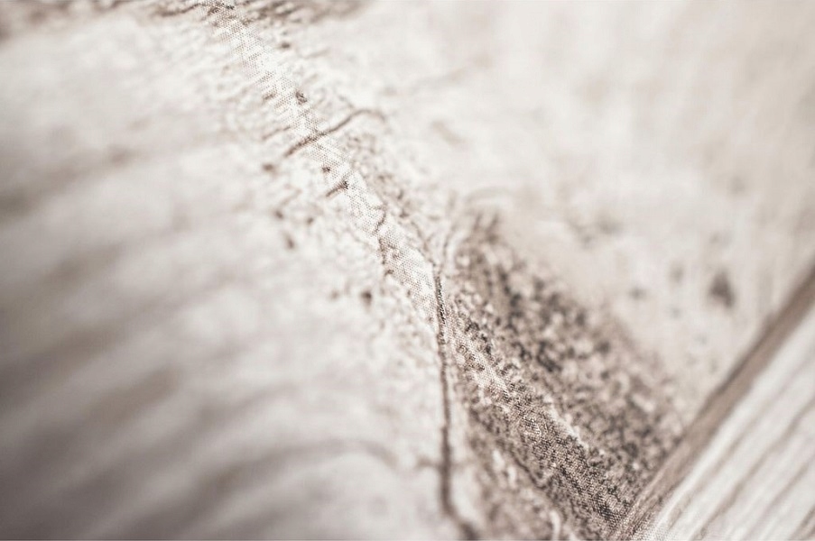 Kolorystyka: Odcienie brązu, beżu oraz szarości