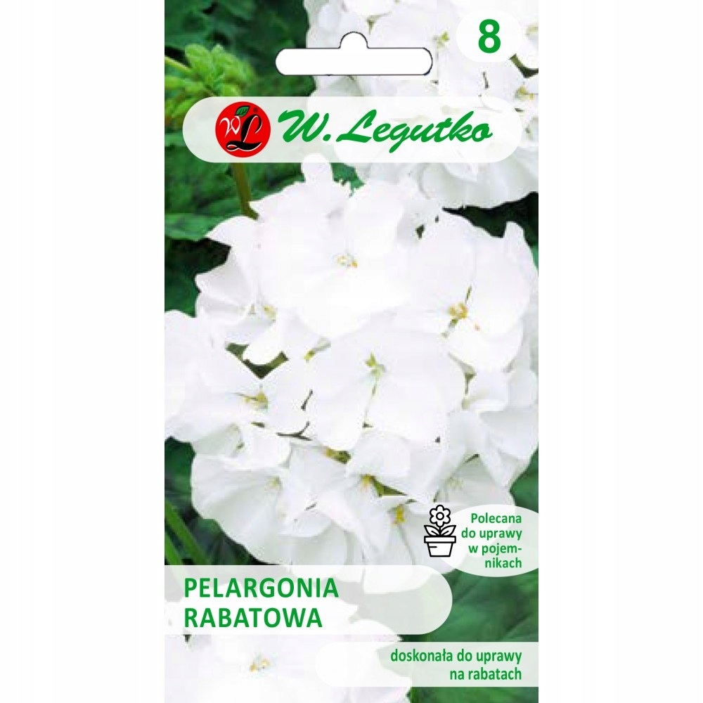Pelargonia Divas F1 - Raspberry Ripple – Kolorowe kwiaty do Twojego ogrodu