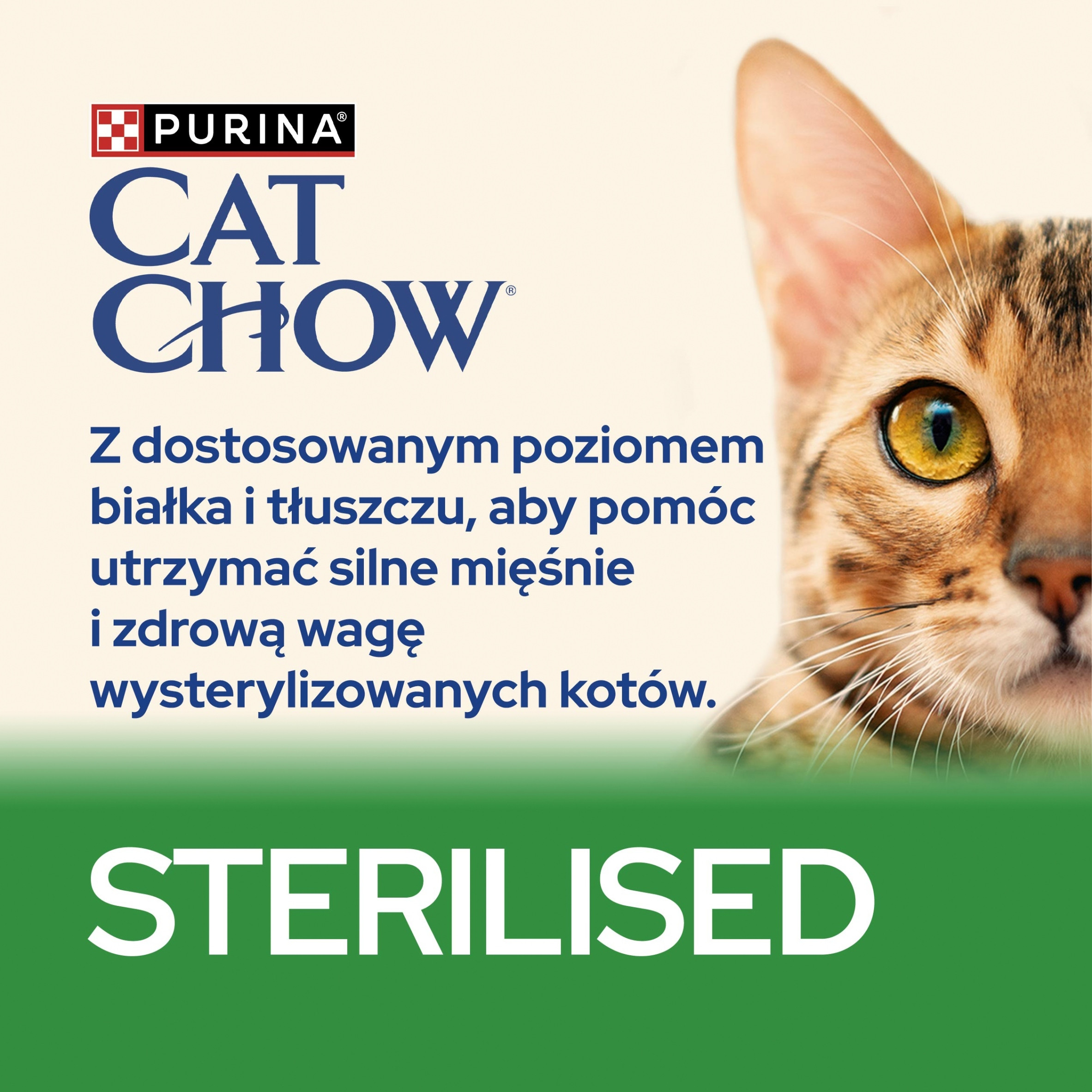 Zbilansowana formuła dla zdrowia i kondycji kota