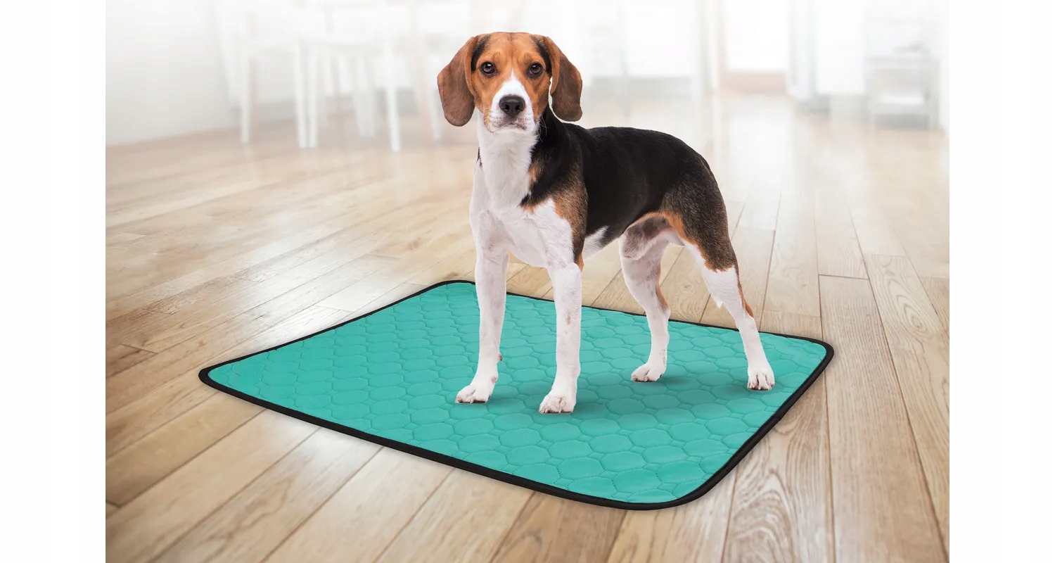 Skuteczne wsparcie w nauce czystości