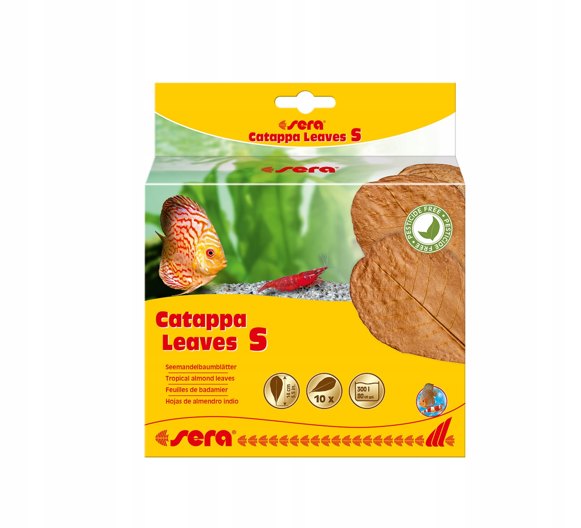 Procesy gojenia i zapobieganie infekcjom